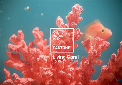 Pantone's 2019 Color of the Year Is 'Living Coral' 